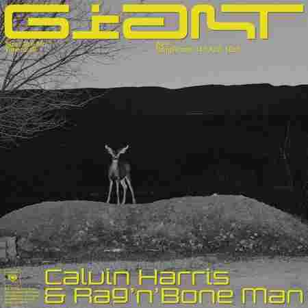 Calvin Harris و RagnBone Man Giant